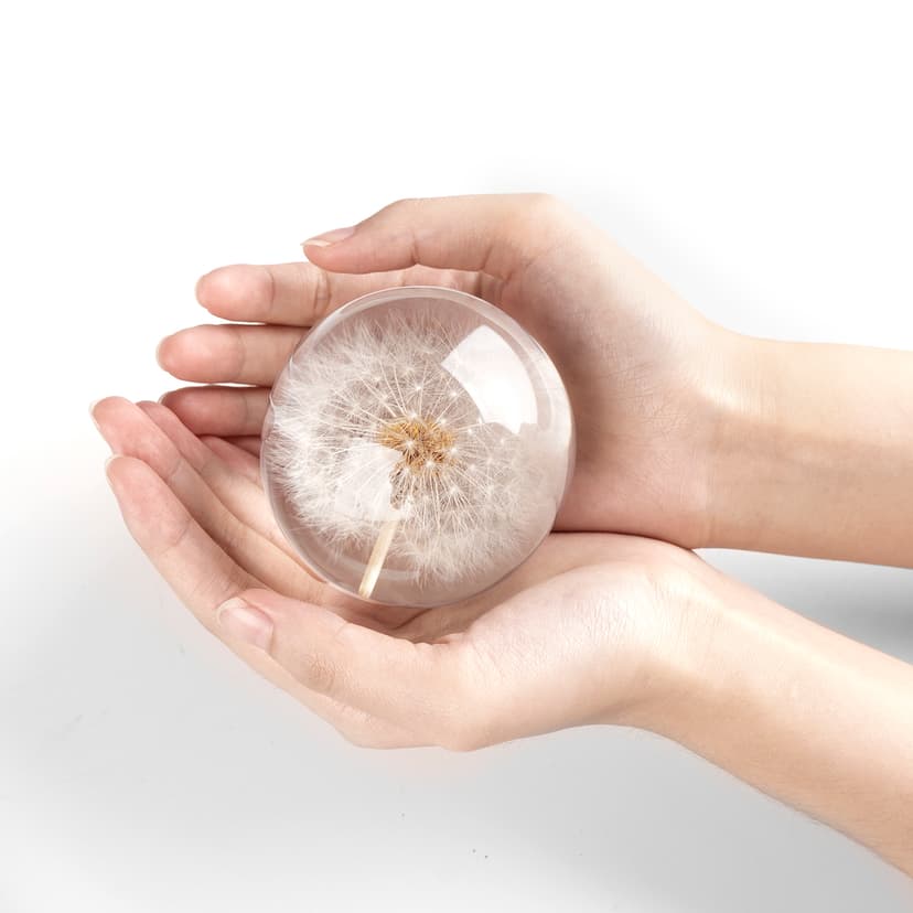 CAIRIAC Crystal Dandelion Resin Ball, Real Dandelion Paperweight and Specimen Ball Home Office Deco for Anniversary Christmas Birthday Wedding Gift (68mm)