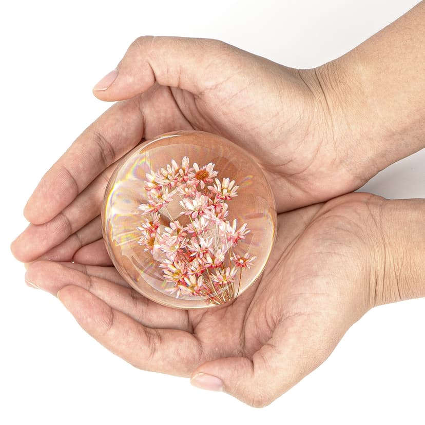 Cairiac Crystal Red Daisy Resin Ball, Real Paperweight Specimen Ball Home Office Decor, Resin Daisy Globe for Anniversary Christmas Birthday Wedding Gift (68mm)