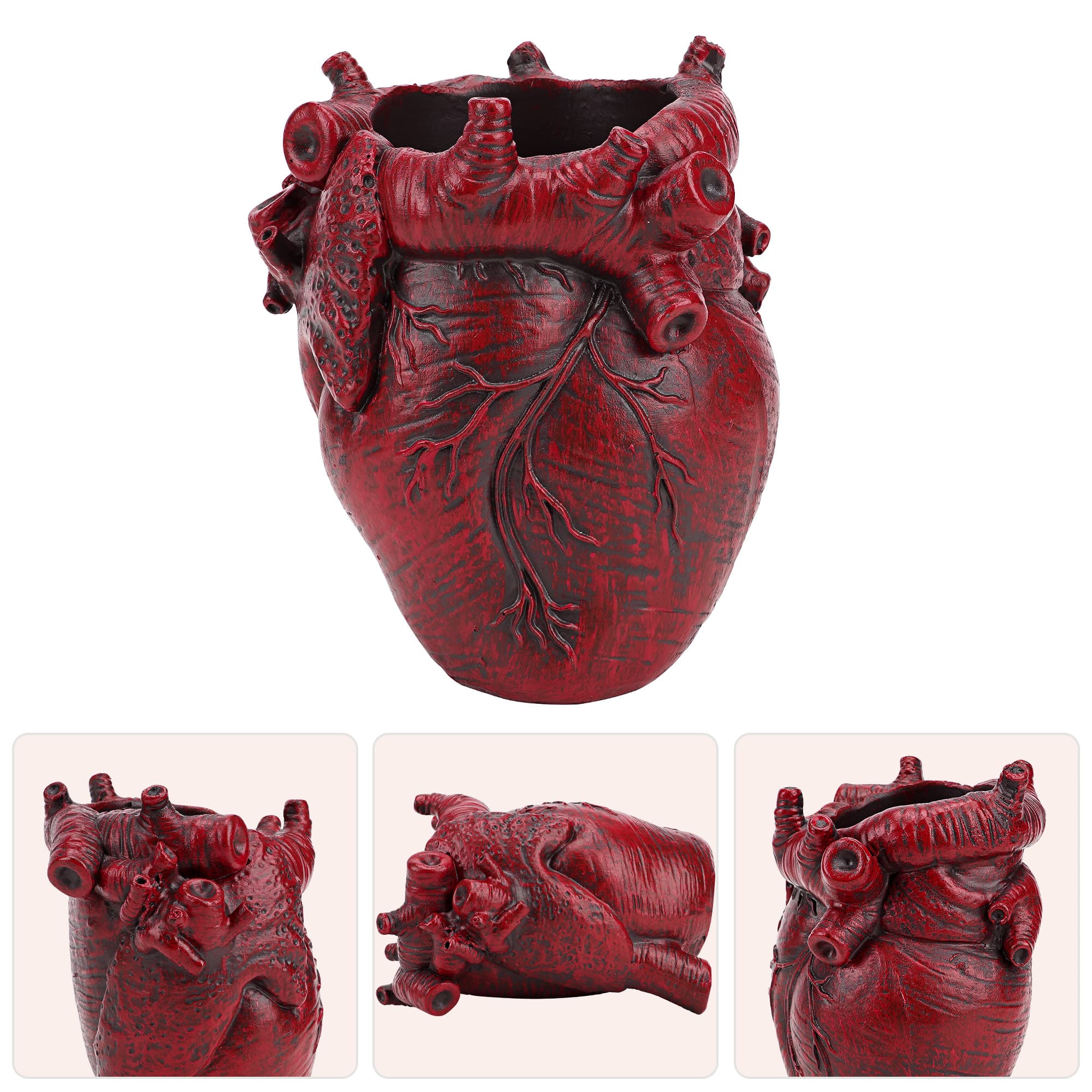 JANKOW Anatomical Heart Pencil Holder, Red Resin Organ-Shaped Pen Cup Desk Organizer, Realistic Human Heart Decor, Stable Base - 5