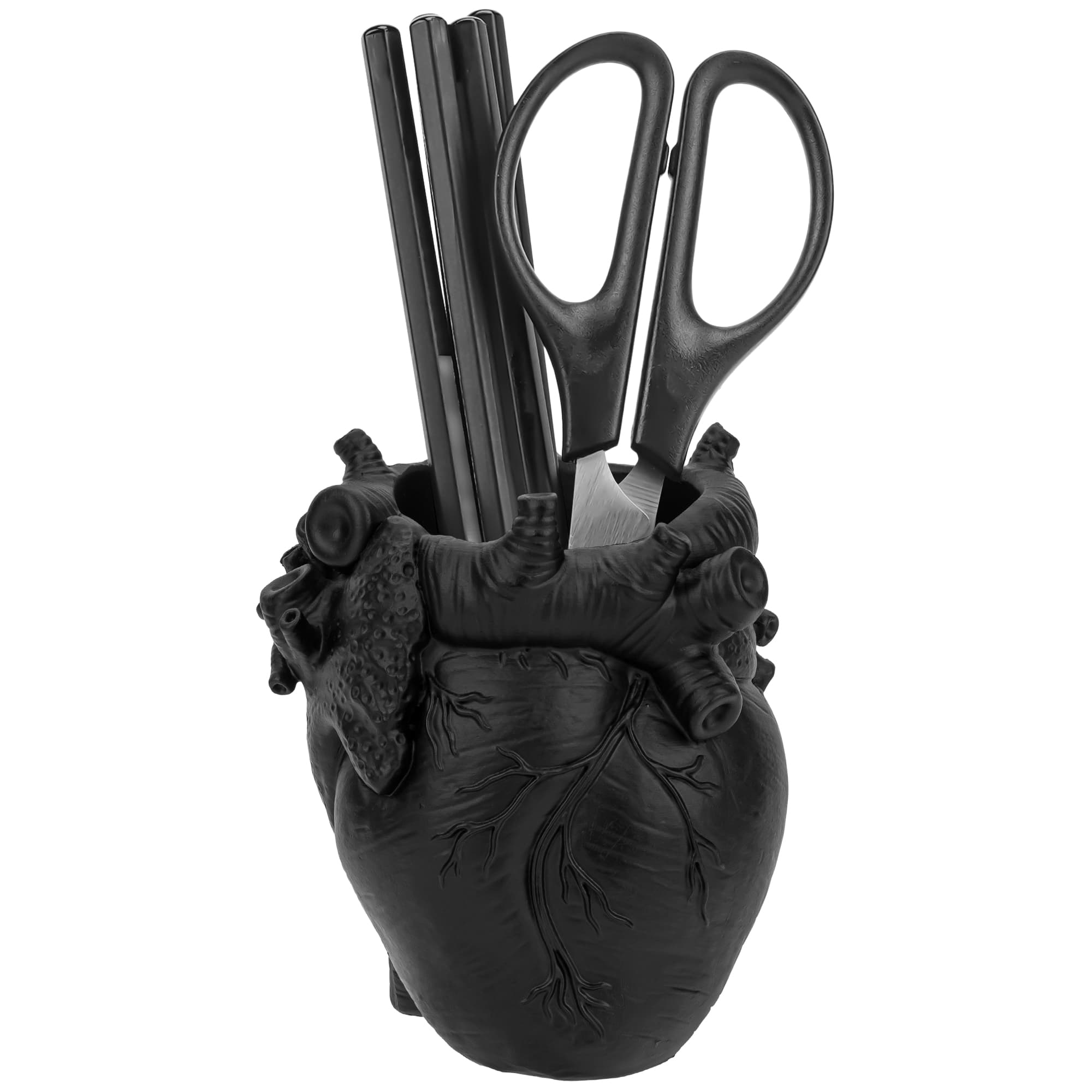 JANKOW Anatomical Heart Pencil Holder, Black Resin Organ-Shaped Pen Cup Desk Organizer, Realistic Human Heart Decor, Stable Base - 4
