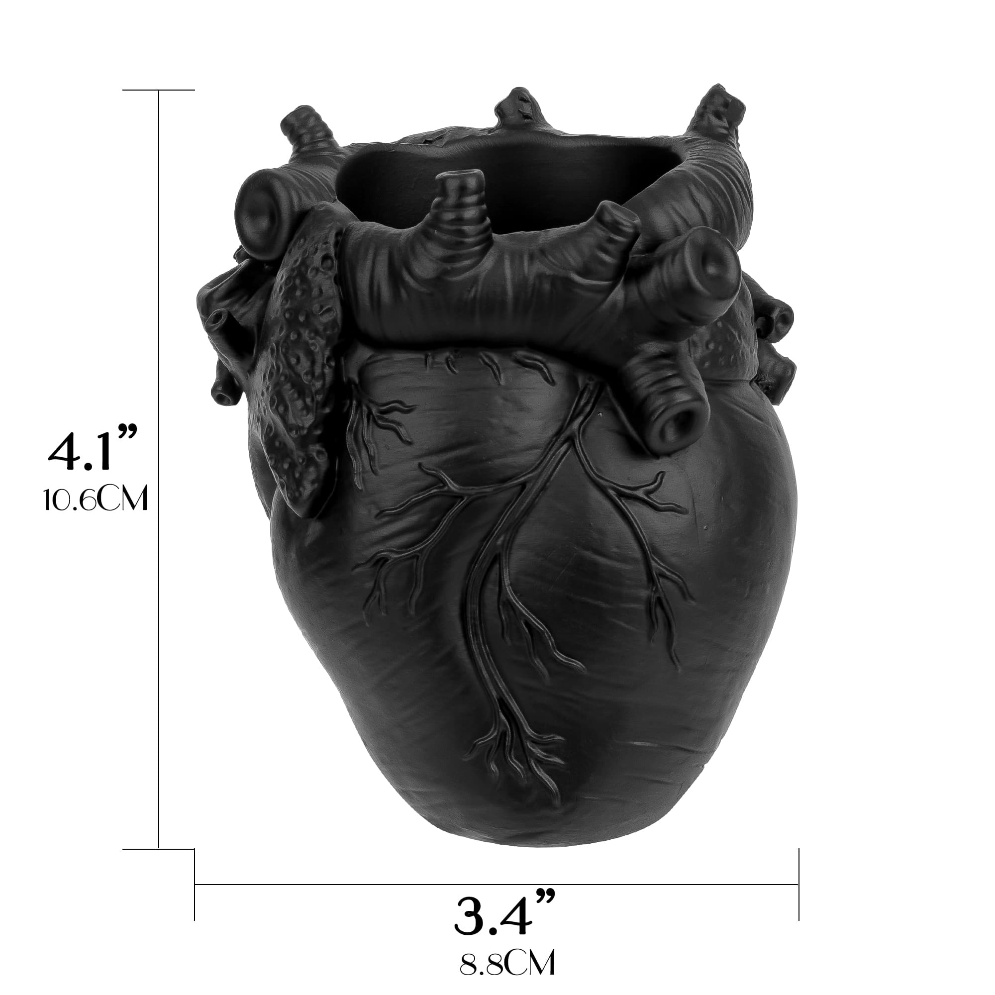 JANKOW Anatomical Heart Pencil Holder, Black Resin Organ-Shaped Pen Cup Desk Organizer, Realistic Human Heart Decor, Stable Base - 1