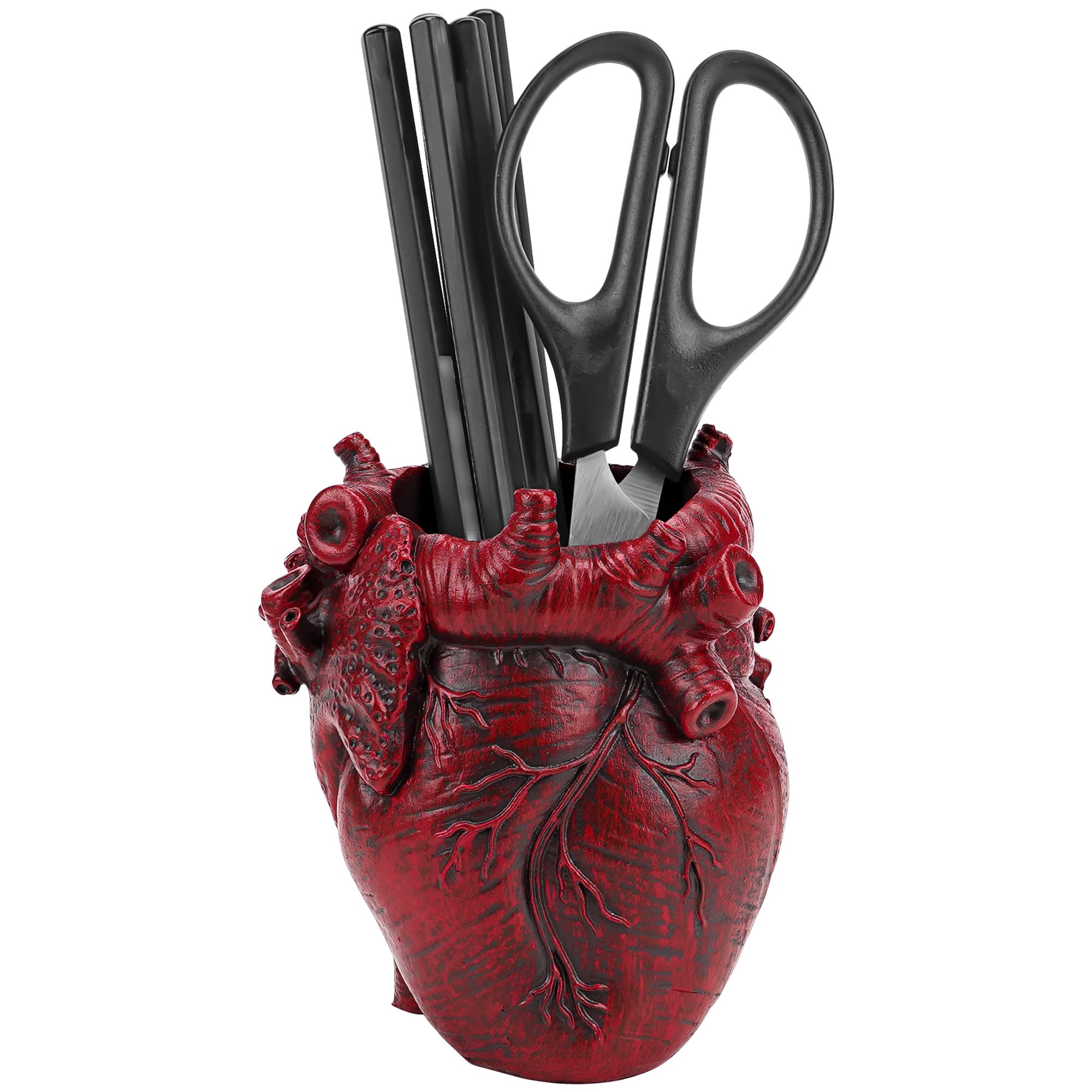 JANKOW Anatomical Heart Pencil Holder, Red Resin Organ-Shaped Pen Cup Desk Organizer, Realistic Human Heart Decor, Stable Base - 4