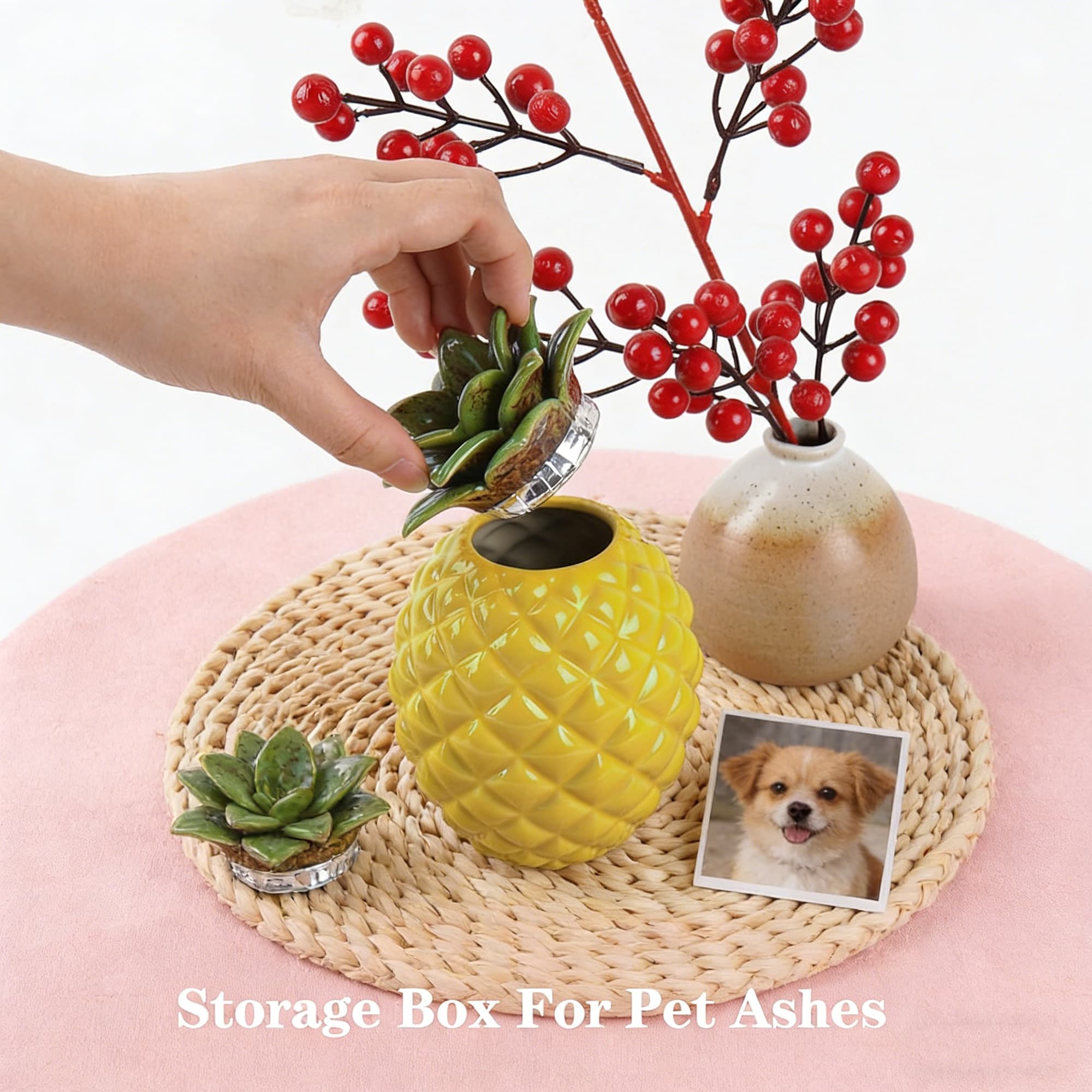 JANKOW Small Pineapple Pet Urn for Dog or Cat Ashes - Small Ceramic Keepsake Memorial Urn - Decorative Funeral Cremation Jar with Airtight Lid - 5