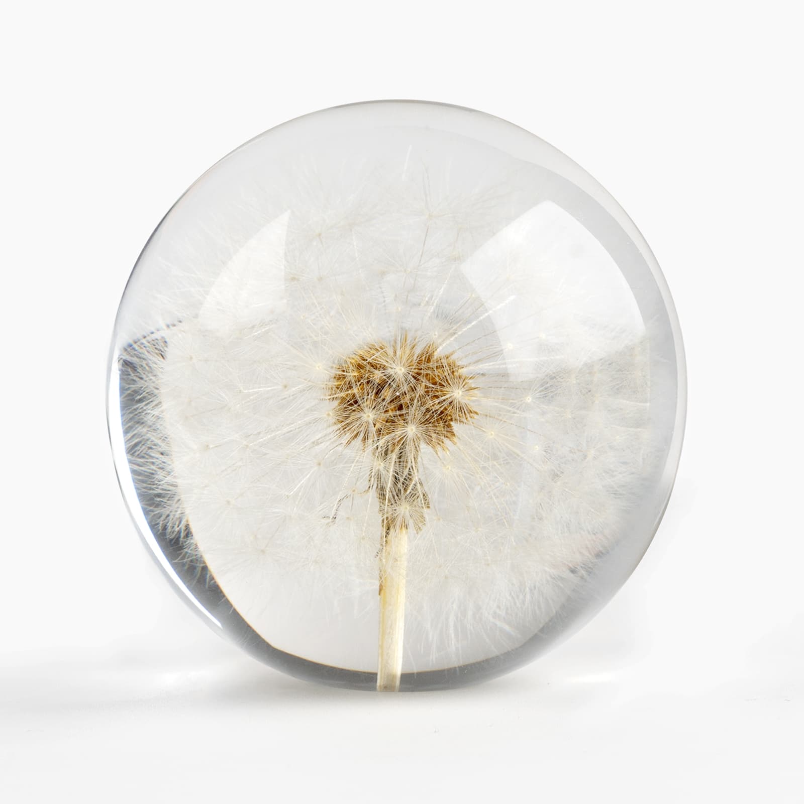 CAIRIAC Crystal Dandelion Resin Ball, Real Dandelion Paperweight and Specimen Ball Home Office Deco for Anniversary Christmas Birthday Wedding Gift (68mm) - 3