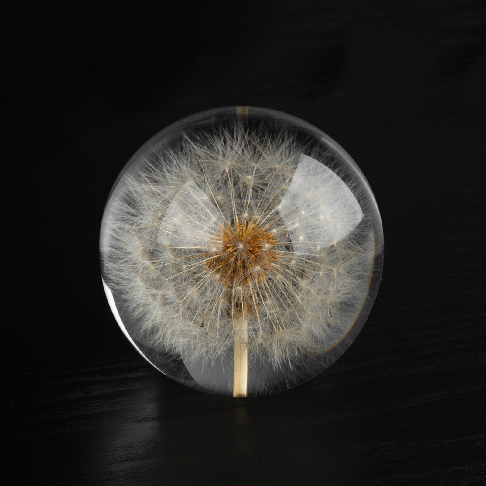CAIRIAC Crystal Dandelion Resin Ball, Real Dandelion Paperweight and Specimen Ball Home Office Deco for Anniversary Christmas Birthday Wedding Gift (68mm) - 5