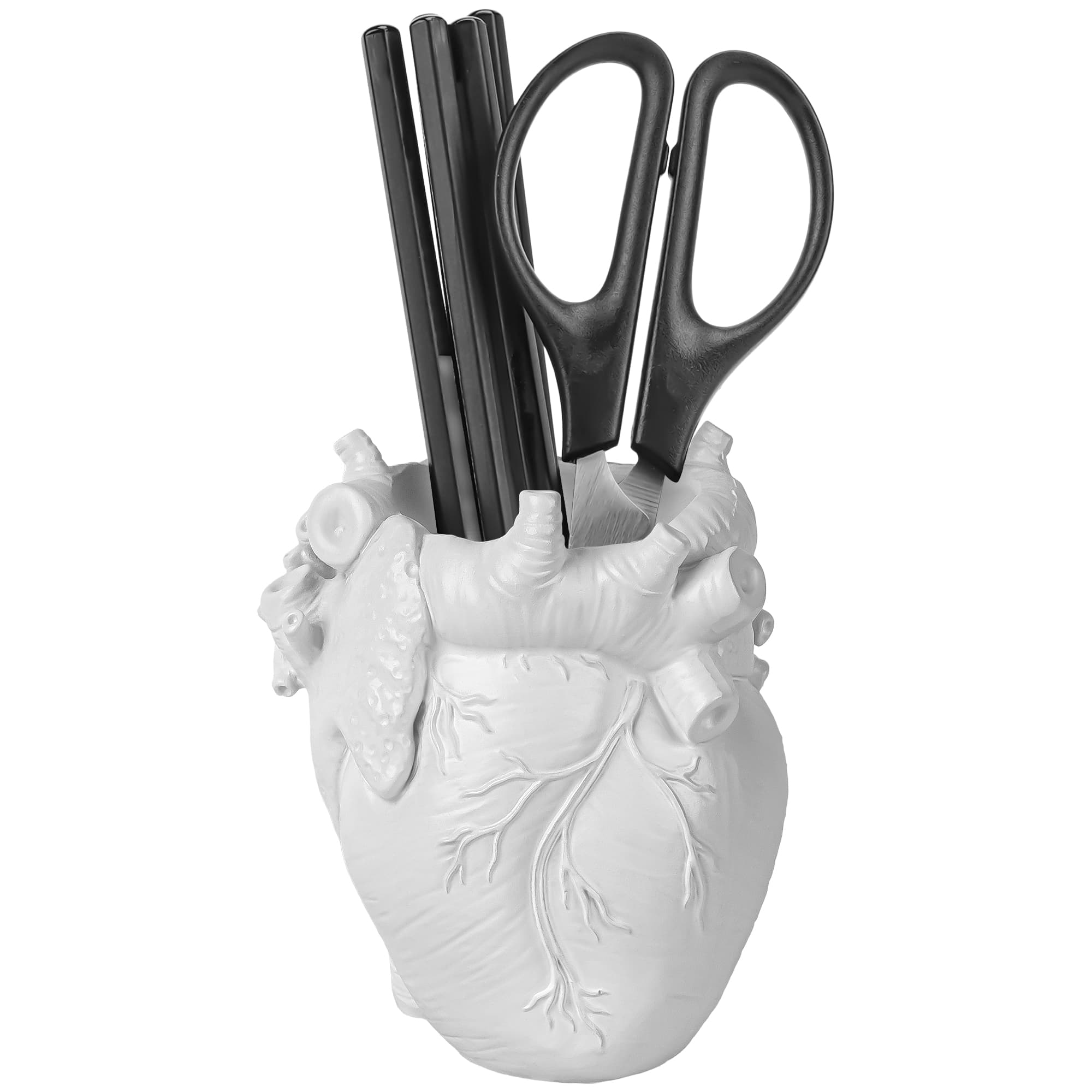 JANKOW Anatomical Heart Pencil Holder, White Resin Organ-Shaped Pen Cup Desk Organizer, Realistic Human Heart Decor, 1-Pack - 4