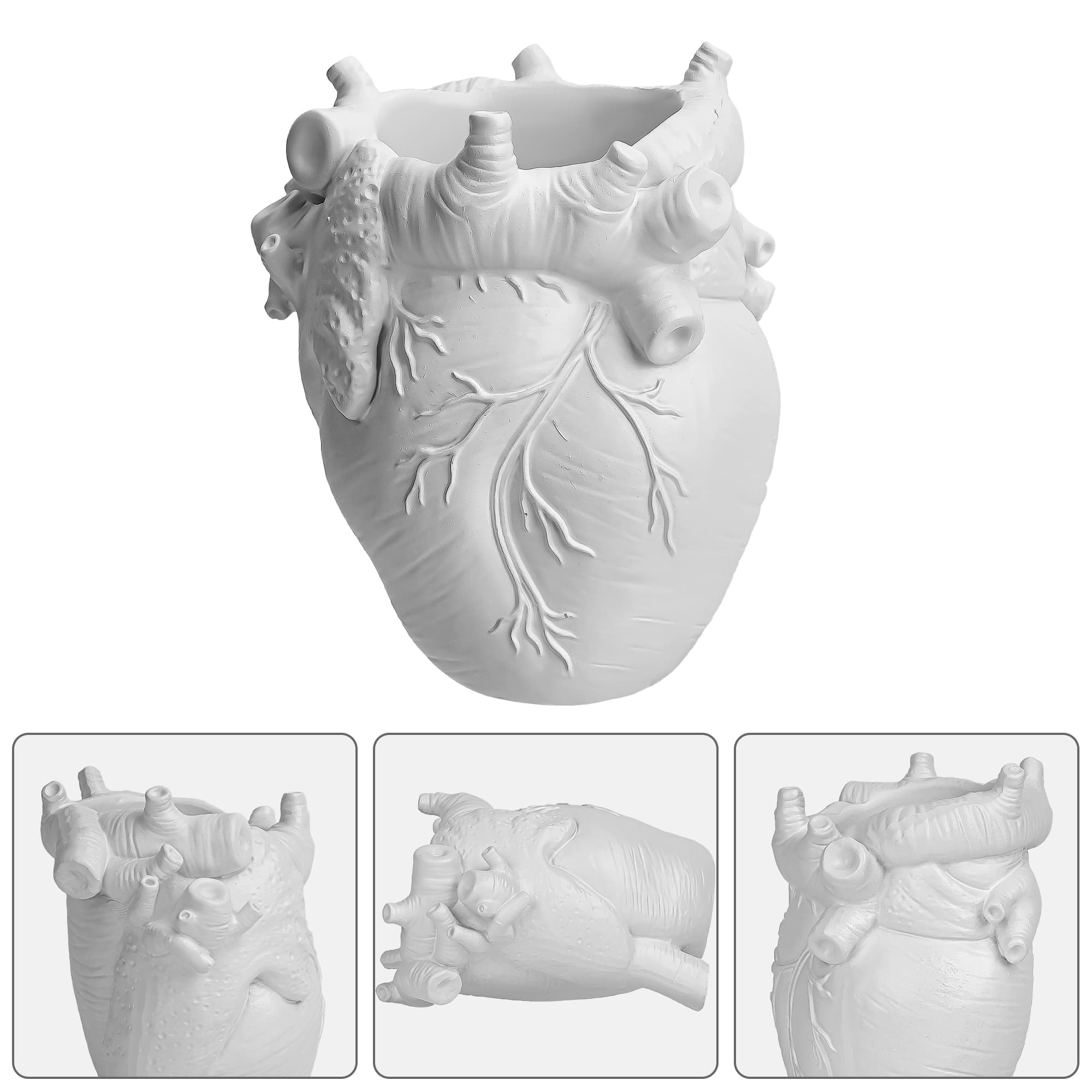 JANKOW Anatomical Heart Pencil Holder, White Resin Organ-Shaped Pen Cup Desk Organizer, Realistic Human Heart Decor, 1-Pack - 5