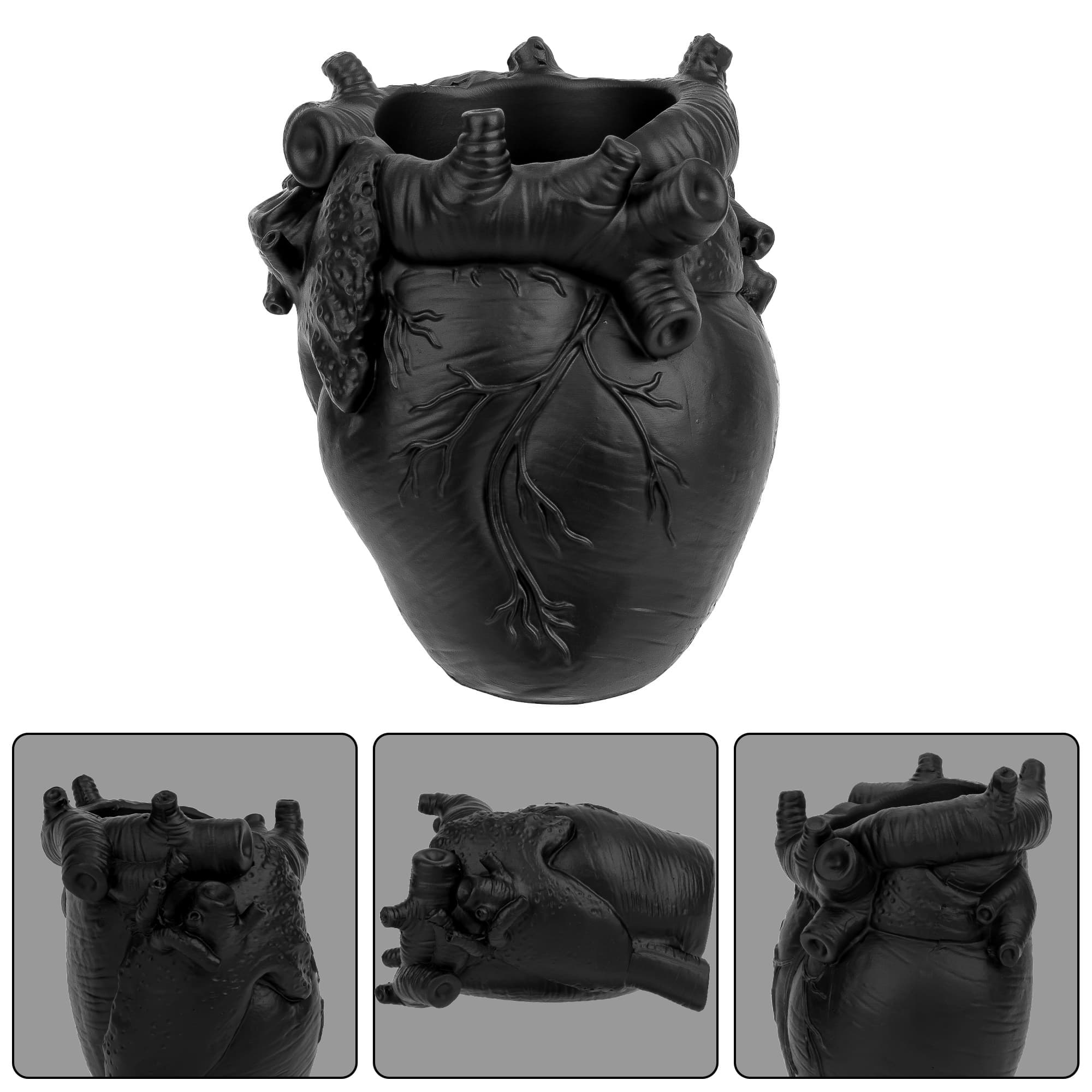 JANKOW Anatomical Heart Pencil Holder, Black Resin Organ-Shaped Pen Cup Desk Organizer, Realistic Human Heart Decor, Stable Base - 5